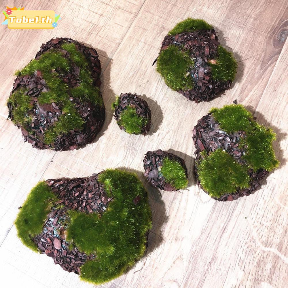 TOBE1 6 ชิ้น/แพ็คหินมอสสีเขียว Multi-รูป DIY Mini Micro Landscape