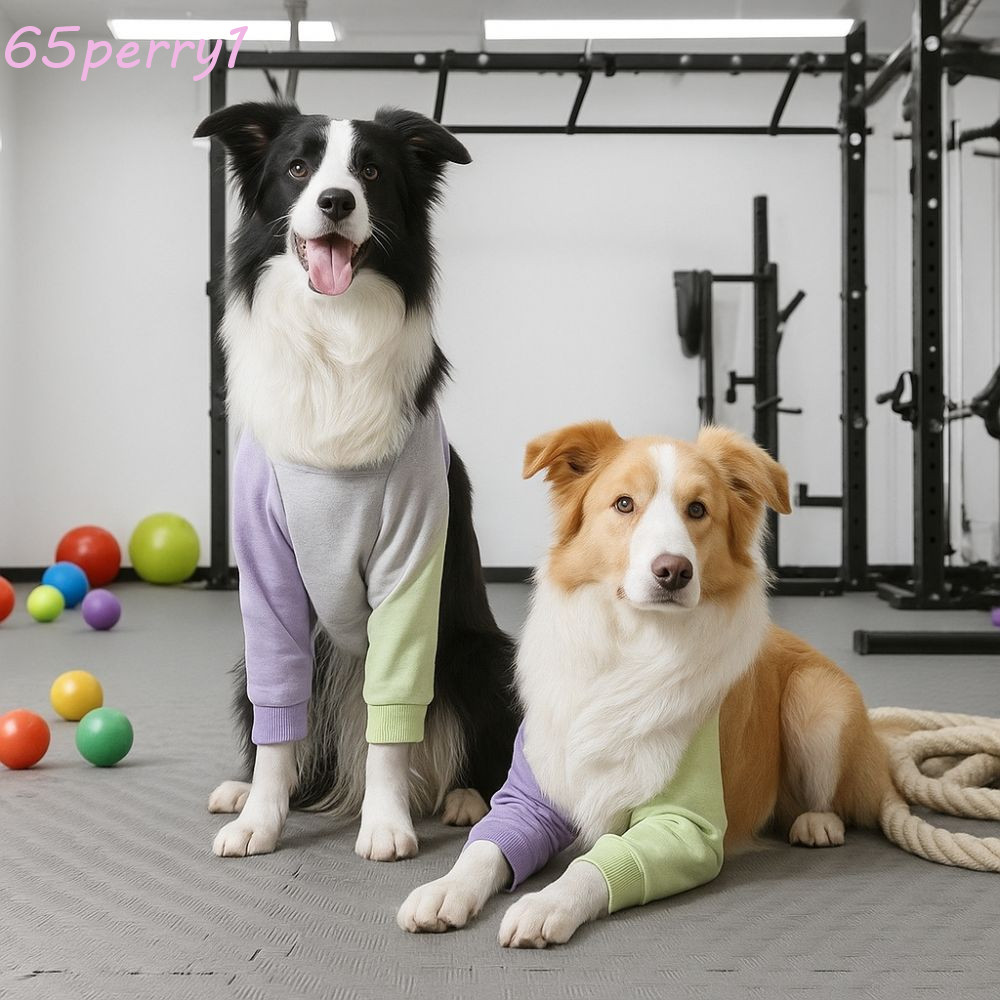 PERRY1 รัดเข่าสุนัข, ความอบอุ่น Anti-Lick Puppy Elbow Protector, Practical Breathable Soft Adjustabl