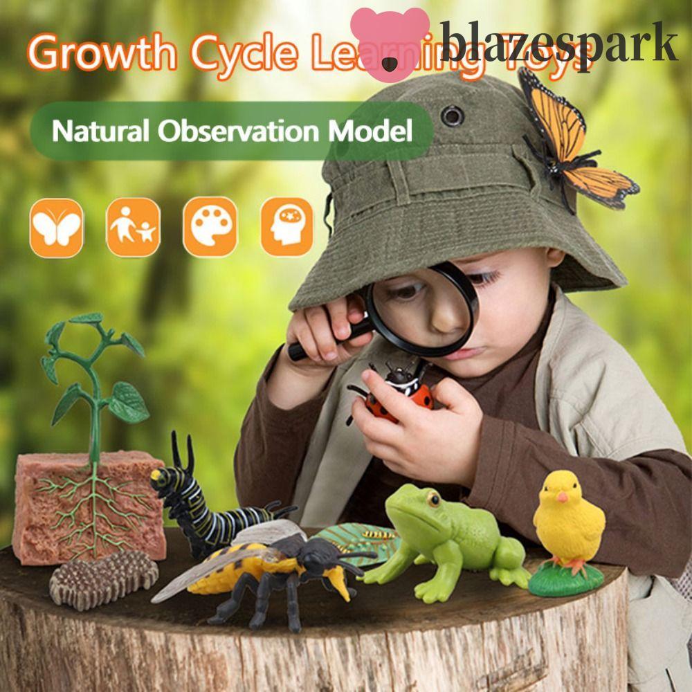 BLAZESPARK ของเล่นวงจรชีวิตสัตว์และพืช โมเดลจําลอง สื่อการสอนวิทยาศาสตร์ เสริมสร้างความรู้สําหรับเด็ก