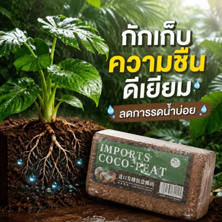 NikiHome ขุยมะพร้าวอัดก้อน เกรดพรีเมียม (Coco Coir Brick) 100% ขุยมะพร้าวอัดก้อน สำหรับปลูกต้นไม้ พองตัวเร็ว