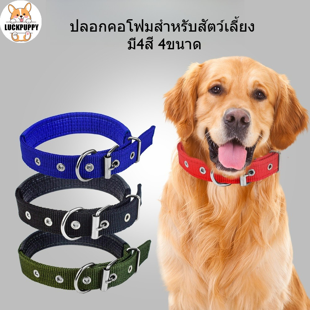 🐶ปลอกคอสุนัขวัสดุ PP ปรับขนาดได้ ทนทานไม่หลุด เหมาะสุนัขขนาดกลาง-ใหญ่ สายพันธุ์โกลเด้น นุ่มสบาย ไม่หนีบขนสัตว์