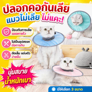 พร้อมส่ง คอลล่าแมว คอลล่าสุนัข ปลอกคอสัตว์เลี้ยง ปลอกคอกันเลีย ปรับขนาดได้