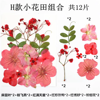 15pcs แพคเกจขนาดเล็กน่ารัก ดอกไม้แห้งดอกไม้จริงบุ๊คมาร์คเรซิ่นหยดกาววัสดุ DIY