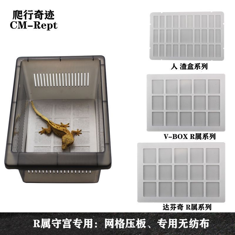 Eyelash Gecko Breeding Box Grid Pressure Plate R Gecko เครื่องนอนวัสดุไม่มีผ้าป้องกัน Giant Gaigouya
