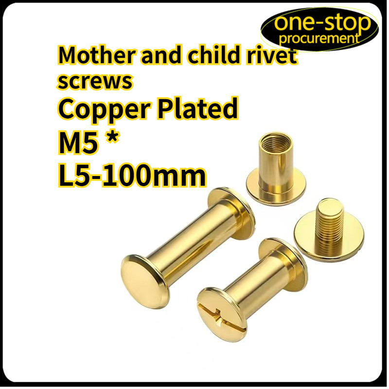 สกรูชิคาโก M5 เด็กและแม่ทองแดง M5 * L5-100mm DSX001