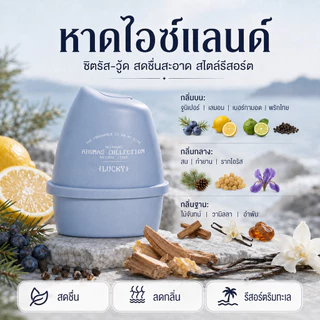 Aeste น้ําหอมปรับอากาศ น้ำหอมบ้าน น้ำหอมห้องนอน น้ำหอมติดรถยนต์ 200 กรัม กระจายกลิ่นได้ทั่วถึง ช่วยคลายเหนื่อย หอมนาน