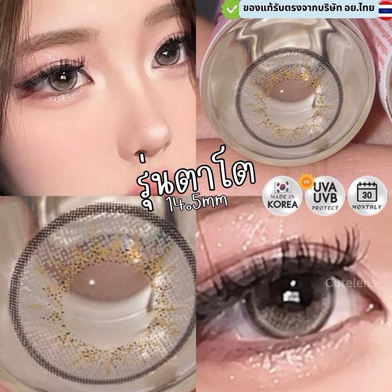 Gray รุ่นตาโต 14.5mm เลนส์ไฮโดรเจล นิ่มใส่สบาย คอนแทคเลนส์ไทย รายเดือน คอนแทคเลนส์สีเทาตาโต