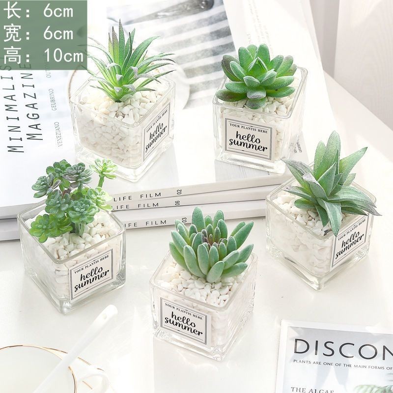 จําลองกระบองเพชรฉ่ําสร้างสรรค์กระถางต้นไม้ตกแต่งตกแต่งพืชสีเขียวดอกไม้ปลอมสก์ท็อปบอนไซตกแต่งของขวัญ 