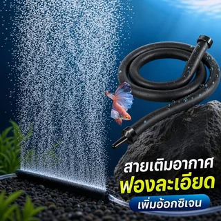 สายเติมอากาศ อ๊อกซิเจนบ่อปลา ฟองละเอียด ท่อรูพรุน อ๊อกบาร์ ตู้ปลา บ่อปลา ปั๊มลม 20 30 45 60 75