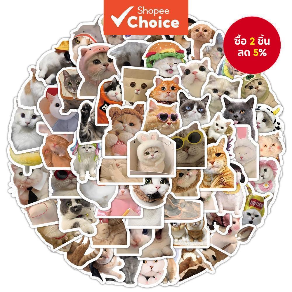 สติ๊กเกอร์แมวเหมือนจริง 100 ชิ้นสติ๊กเกอร์ไวนิลกันน้ําสําหรับหมวกกันน็อค, จักรยาน & กล่องดินสอ (การ์ตูนน่ารัก)
