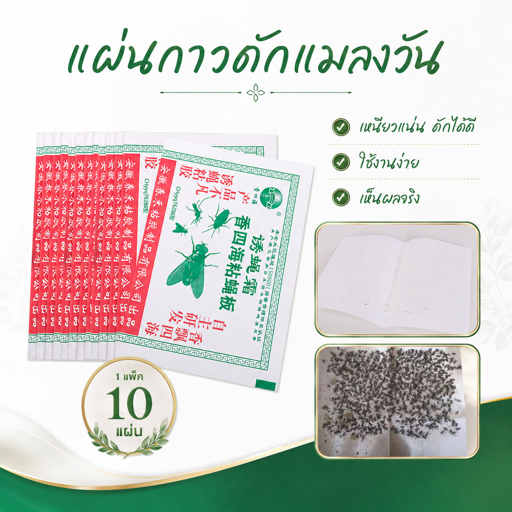 แผ่นกาวดักแมลงวัน แพ็ค 50 แผ่น/100 แผ่น กาวเหนียวติดแน่น ดักแมลงวันได้มากกว่า 400 ตัว