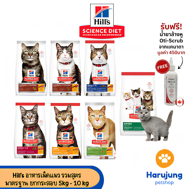 [ยกกระสอบ] Hill's Science Diet Cat ฮิลล์ อาหารลูกแมว แมวโต แมวสูงวัย  5 kg - 10 kg