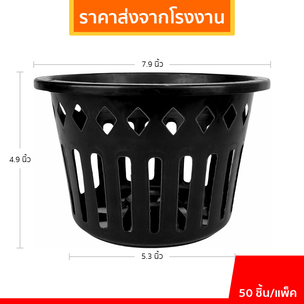 กระถาง กระถางกล้วยไม้ กระถางแขวน กลม 8 นิ้ว 10 25 50 100 ใบ ชิ้น
