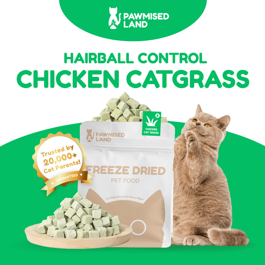 PawmisedLand Catty Munchies - Chicken Catgrass - Functional Series - Freeze Dry 125g อาหารสัตว์เลี้ย