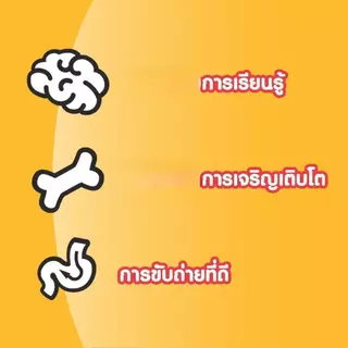 PEDIGREE เพดดิกรี อาหารสุนัขแบบเม็ด สูตรลูกสุนัข ขนาด 15 กิโลกรัม