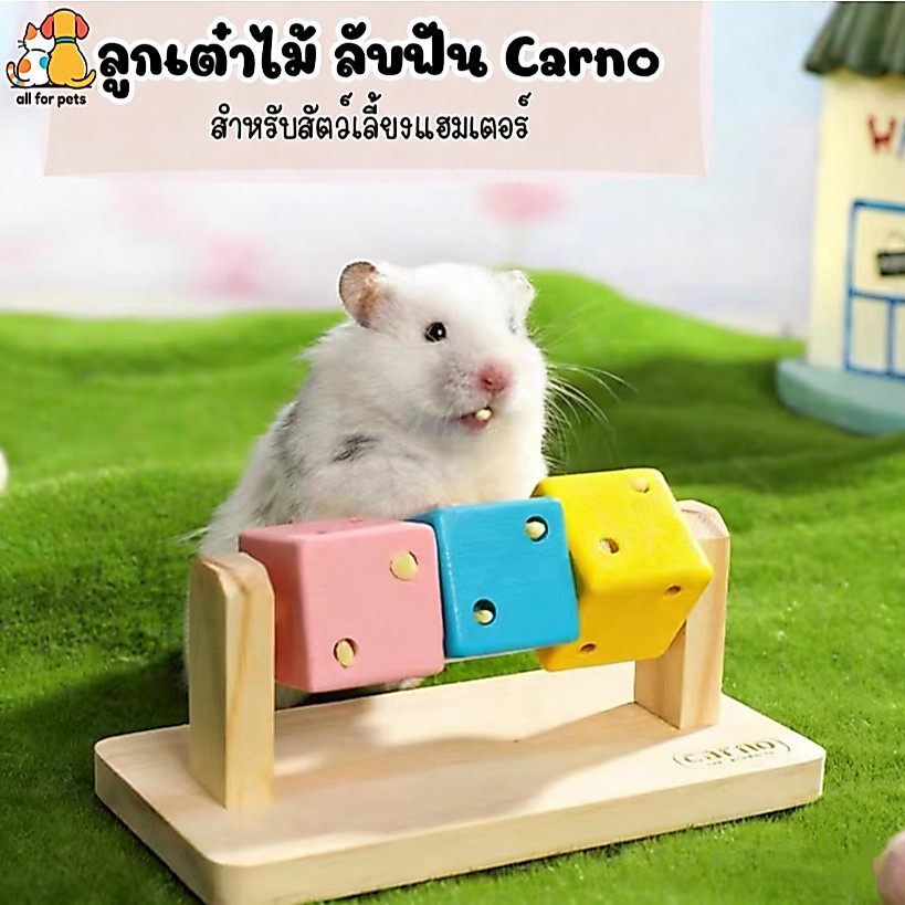 ลูกเต๋าลับฟัน ลูกเต๋าลับฟันแฮมสเตอร์ สำหรับแฮมเตอร์ หมุนเล่นได้เสริมพัฒนาการให้น้องได้สนุกไม่เบื่อ สนุกและปลอดภัย