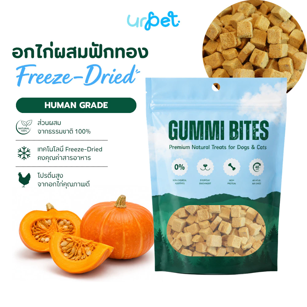 อกไก่ผสมฟักทอง Freeze-Dried ฟรีซดราย สุนัขและแมว เกรดพรีเมียม 50g GUMMI BITES