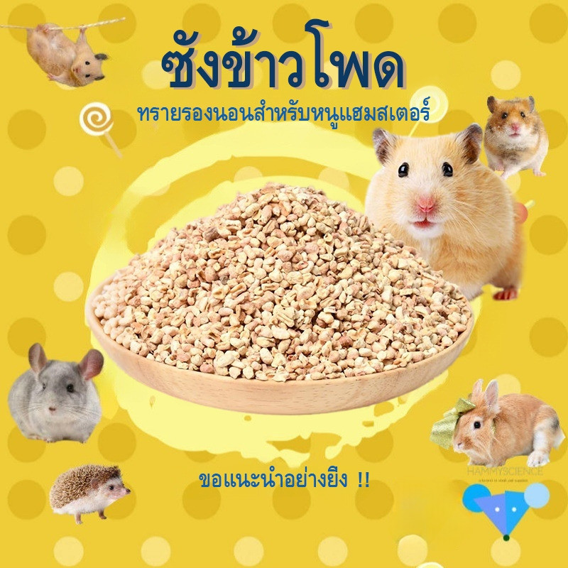 【hamstertravel】รองกรงซังข้าวโพด 1kg สำหรับหนูแฮมสเตอร์ เม็ดธรรมชาติ ดูดซับดี ลดกลิ่นอับ ปลอดภัยต่อสัตว์เลี้ยง