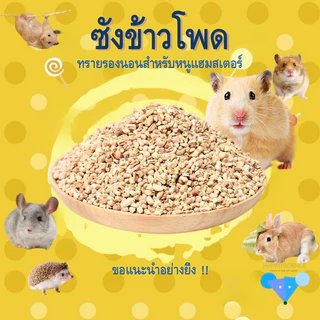 【hamstertravel】รองกรงซังข้าวโพด 1kg สำหรับหนูแฮมสเตอร์ เม็ดธรรมชาติ ดูดซับดี ลดกลิ่นอับ ปลอดภัยต่อสัตว์เลี้ยง