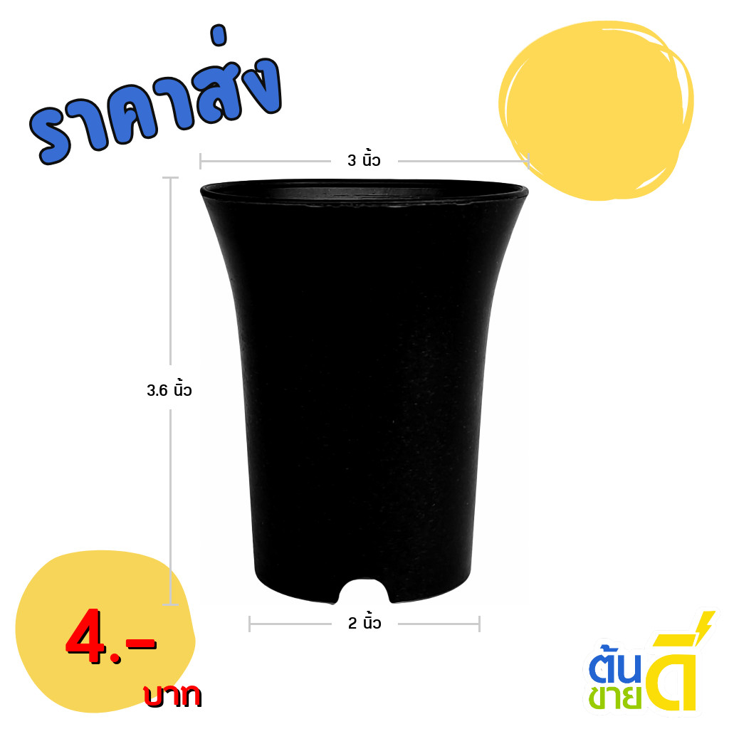 กระถาง กระถางแคคตัส กระถางปากแตร 3 นิ้ว สีขาว ขั้นต่ำ 10 ใบ ชิ้น อัน
