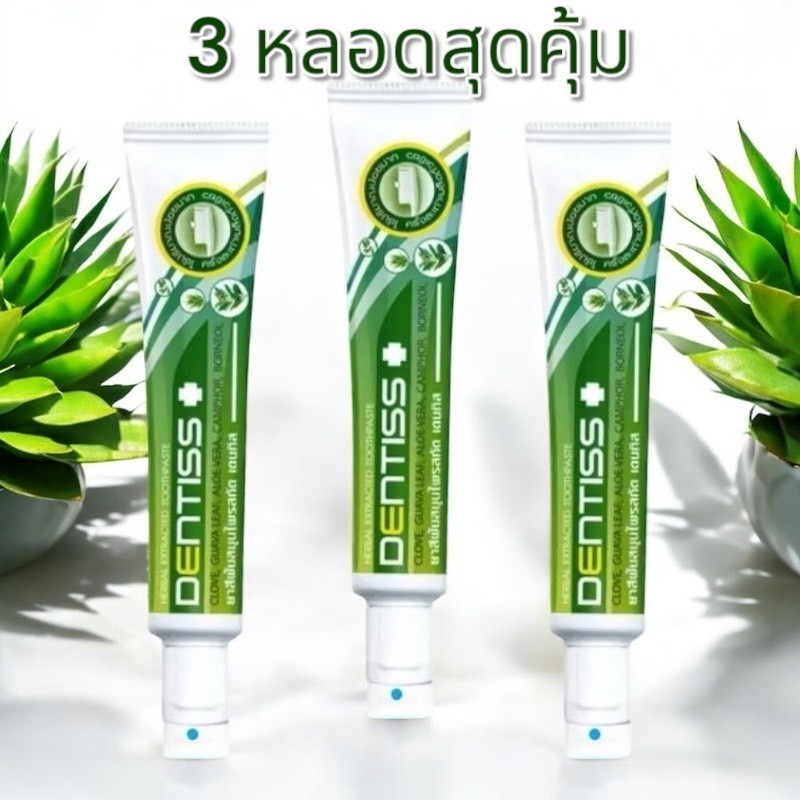 ซื้อ3 ชิ้น คุ้มกว่า ยาสีฟันสมุนไพรสกัด มิสทิน เดนทิส 40 กรัม [ ล็อตใหม่ล่าสุด Exp. ปี 2028 ] S-0266