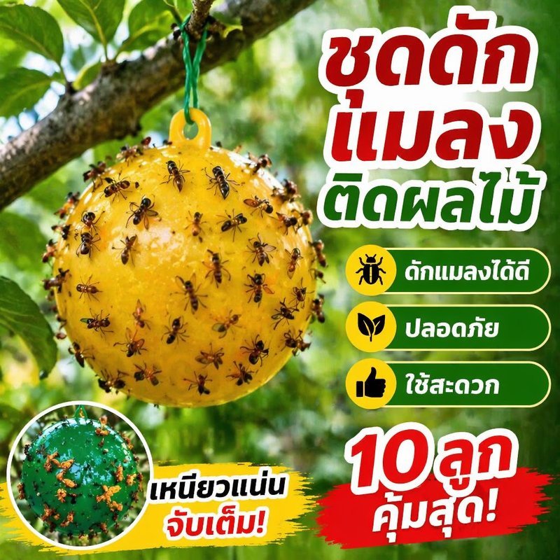 ลูกบอลดักแมลงวันผลไม้ กาวดักแมลง เหนียว กันแดด กันฝน สวนผลไม้ ส้ม มะม่วง ลำไย ใช้งานทน