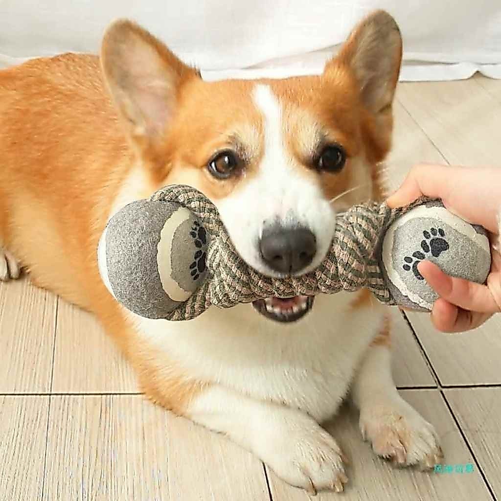 เชือกเทนนิส 2 หัว เชือกของเล่นสําหรับ DOGS TO CLEAN TEETH SA888