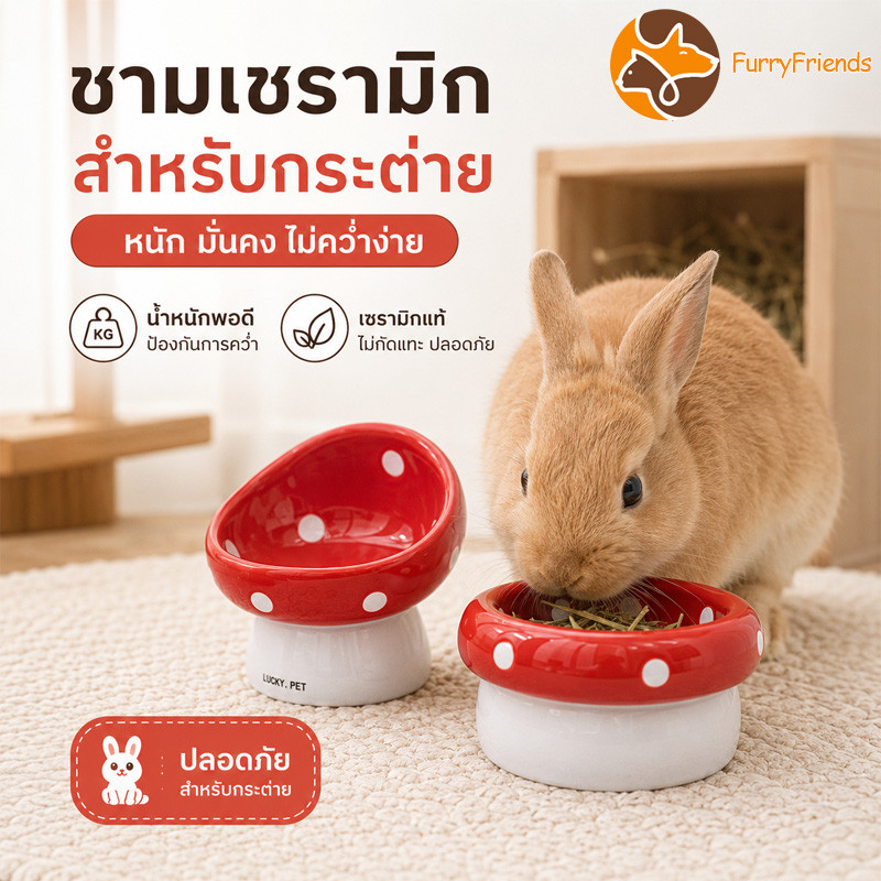 ชามกระต่าย ชามอาหารกระต่าย วัสดุเซรามิค ป้องกันการพลิกคว่ำ ความจุสูง ล้างง่าย ความสูงที่เหมาะสม