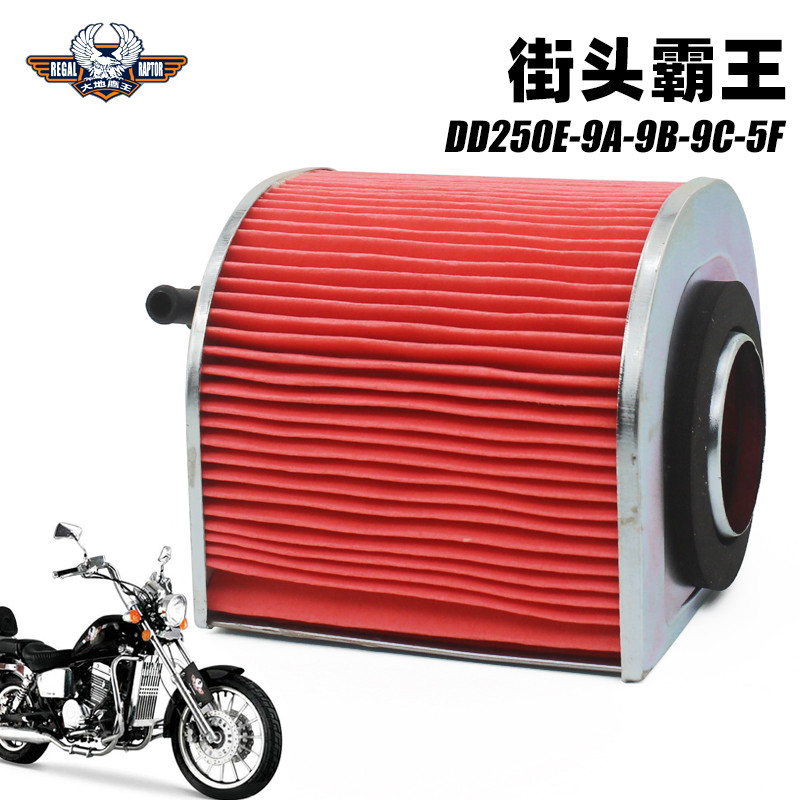 Earth Eagle King Prince รถจักรยานยนต์ Street Fighter DD250E-9A-9B-9C-5F กรองอากาศ กรองอากาศ
