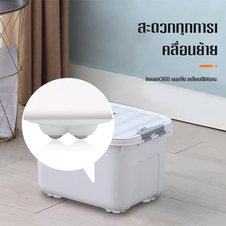 ล้อสแตนเลสขนาดเล็ก360° หมุนได้รอบทิศทาง มีกาวในตัว ติดตั้งง่าย ใช้เลื่อนเฟอร์นิเจอร์ ตู้ โต๊ะ เก้าอี้ ถังขยะ