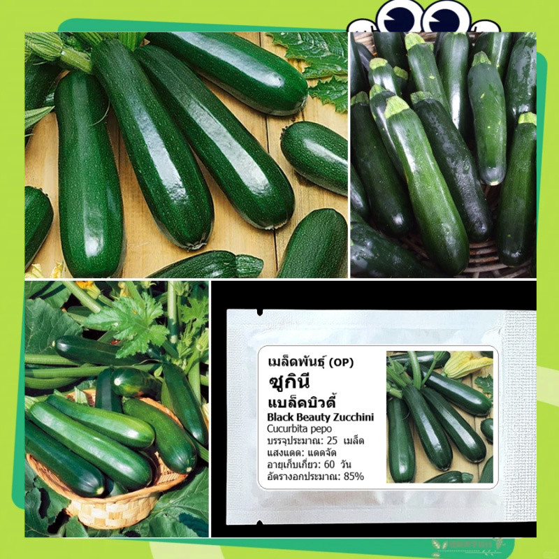 เมล็ดพันธุ์ ซูกินี แบล็คบิวตี้ 30 เมล็ด คุณภาพดี ของแท้ (zucchini seeds)เมล็ดพันธุ์คุณภาพดี อัตรางอกสูง