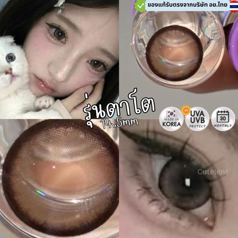 Brown รุ่นตาโต 14.5mm เลนส์ไฮโดรเจล นิ่มใส่สบาย คอนแทคเลนส์ไทย รายเดือน คอนแทคเลนส์สีน้ำตาลตาโต
