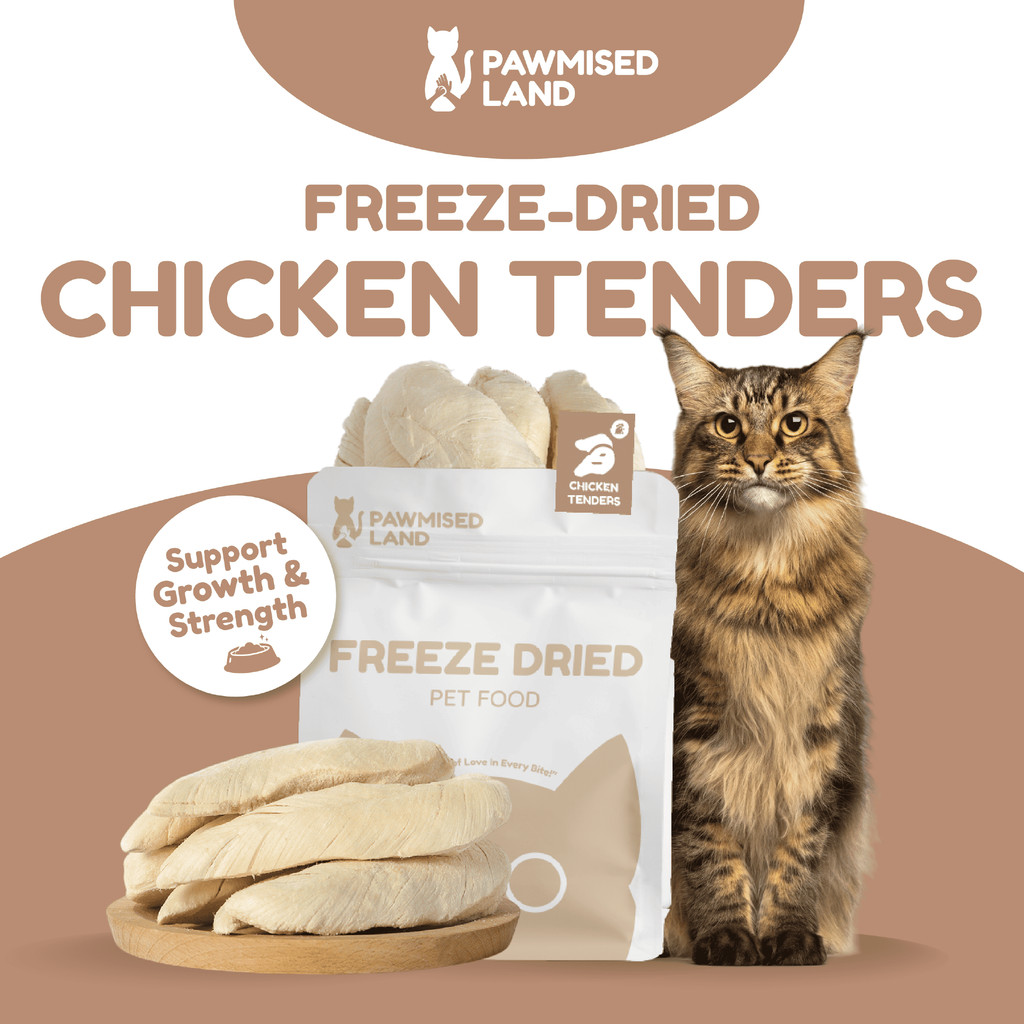 PawmisedLand Catty Munchies - Chicken Tenders Freeze Dry Pet Food 125g Premium Treats Pet Food อาหาร