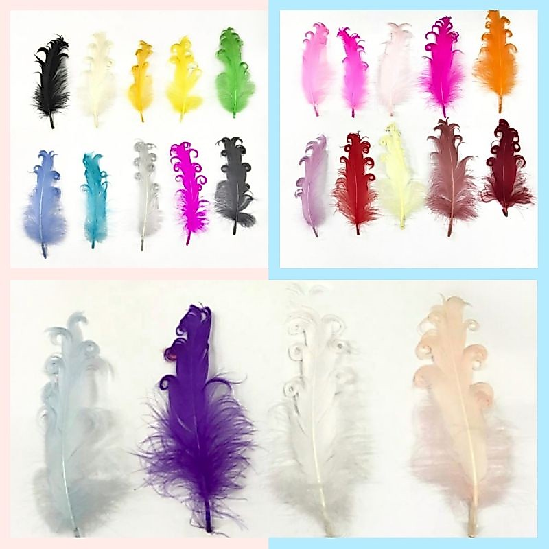 ต่อ 1 ชิ้น - CURLY CHICKEN FEATHERS/VARIOUS CHICKEN FEATHERS/CHICKEN FEATHERATIONS