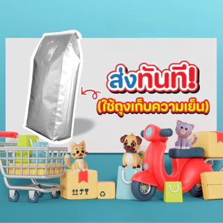(ส่งทันที) Catster Soup แคทส์เตอร์ซุป ซุปแช่แข็ง สำหรับแมว ขนาด 100 กรัม
