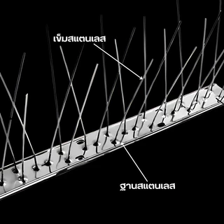 🐦10 ชุด อุปกรณ์ไล่นก หนามสแตนเลส 304 ยาว 50 ซม. มี 60 หนาม ป้องกันนกและนกพิราบมาอาศัยได้เป็นอย่างดี