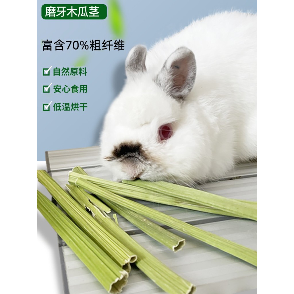 Pet Bunny Snacks Papaya Stem Molar Bite Papaya Tree Core Rabbit Chinchilla Guinea Pig Snacks Papaya 