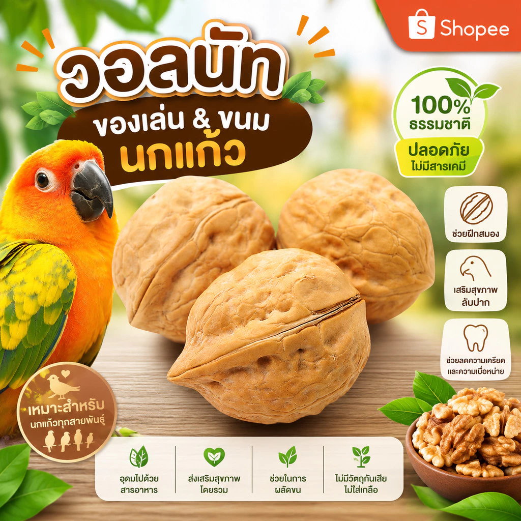 Parrot.Thailand วอลนัททั้งลูก (เกรดพรีเมียม) ของเล่น & ขนมสำหรับนกแก้วทุกสายพันธุ์ ธรรมชาติ 100% ช่วยลับปาก ลดเครียด