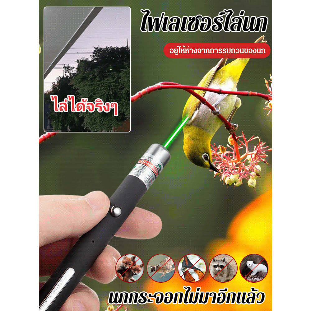 🎯【เลเซอร์/เครื่องไล่นก】กำลังแรงสูง ใช้งานง่าย ปลอดภัย วัสดุคุณภาพดี เหมาะสำหรับสวน ฟาร์ม พื้นที่เปิดโล่ง ✨สินค้าขายดี✨