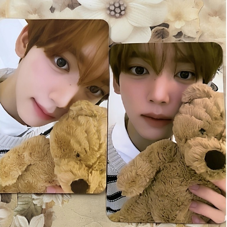 Zb1 Beauty Card Hanweichen Photocard zb1 Lip Glaze Chenkou Hug Bear Photocard Lip Glaze Face 2.0 Che
