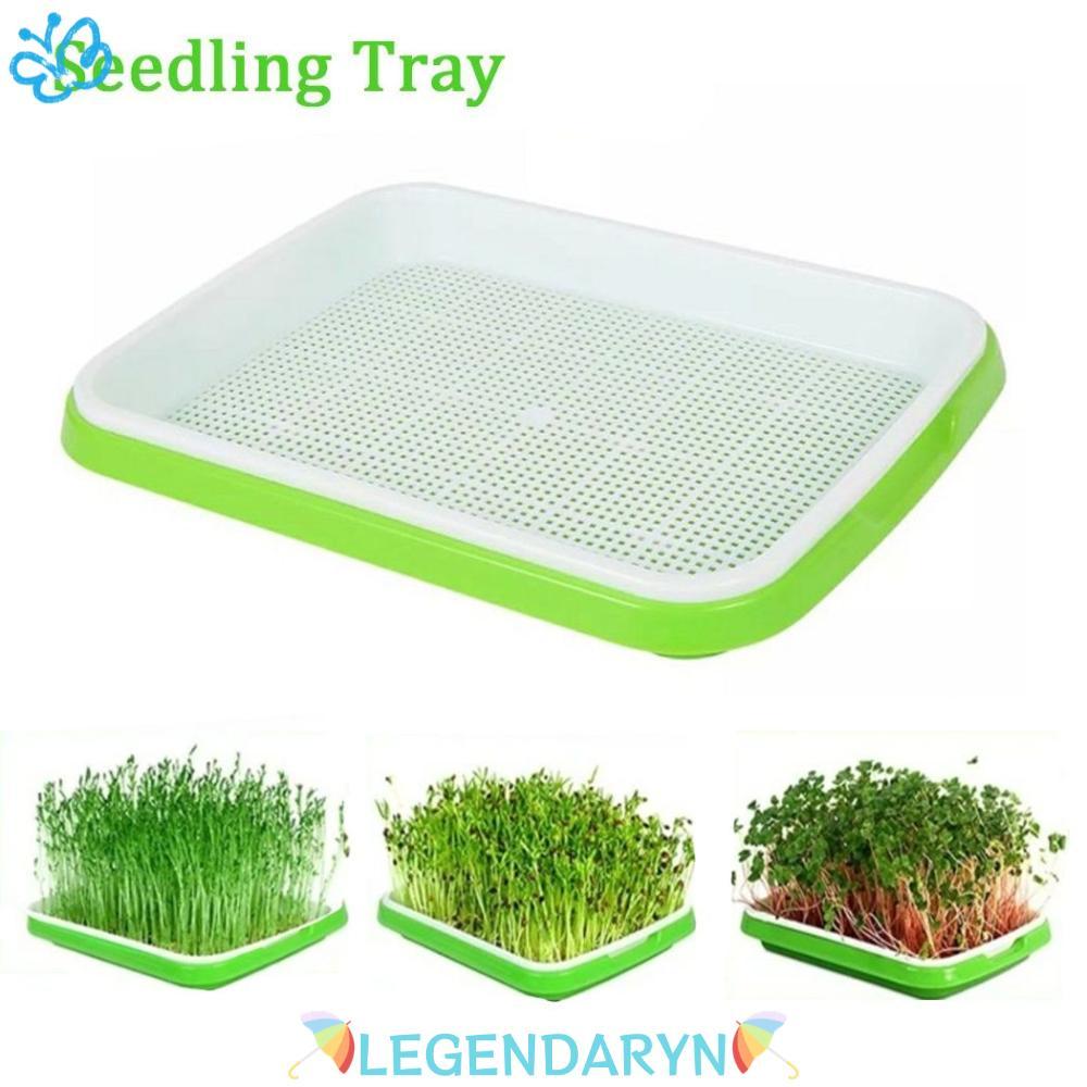 LEGENDARYN Grow Nursery Pots Home Garden Nursery Paper Sooilless Cultivation Sprout Pot