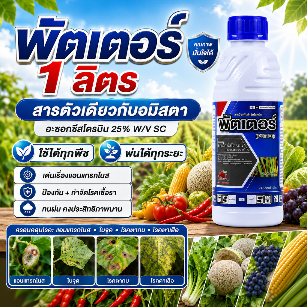 [1ลิตร] พัตเตอร์ (สารตัวเดียวกับอมิสตา) – อะซอกซีสโตรบิน 25% W/V SC กำจัดโรคแอนแทรคโนส คอเน่า