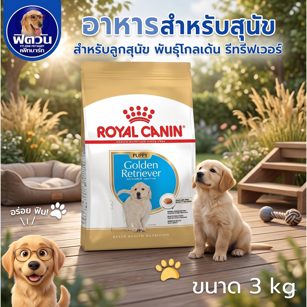 ROYAL CANIN Golden Retriever PUPPY ลูกสุนัข สูตรเฉพาะสายพันธ์ 3 กิโลกรัม{อาหารสุนัขเม็ด}