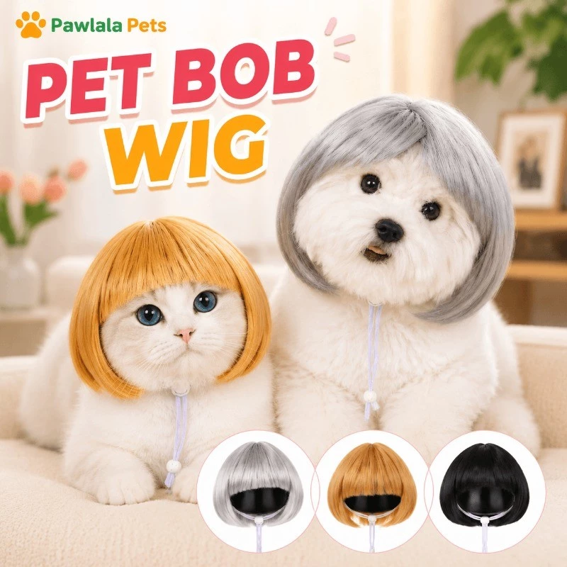 สัตว์เลี้ยง Bob วิกผมแมวสุนัข Headpiece Fringe ทรงผมคอสเพลย์เครื่องแต่งกายสนุกน่ารักตลกสัตว์เลี้ยงอุปกรณ์เสริมผมลูกแมว Puppy Dress Up Photo Prop 1 ชิ้น