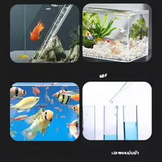 【PetZap】พร้อมส่ง COD ที่ดูดขี้ปลา ที่ดูดขี้เต่า อุปกรณ์ดูดขี้ปลา หลอดดูดน้ำตู้ปลา ดูดตะกอนตู้ปลา สินค้าปลาสวยงาม