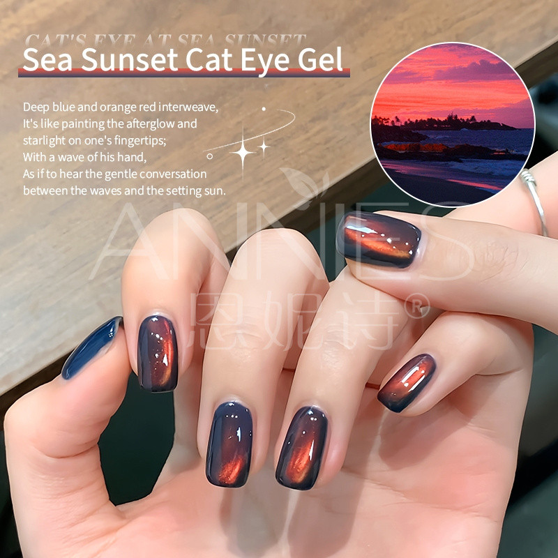 ANNIES ฤดูใบไม้ร่วงฤดูหนาว Golden Light Sea Sunset Cats