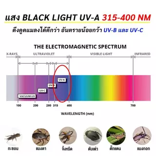 หลอด Blacklight T5 4W 6W 8W 15-30 ซม. หลอดดักยุง หลอดนีออน ดักแมลง แมงดา แมง ตรวจแบงค์ปลอม