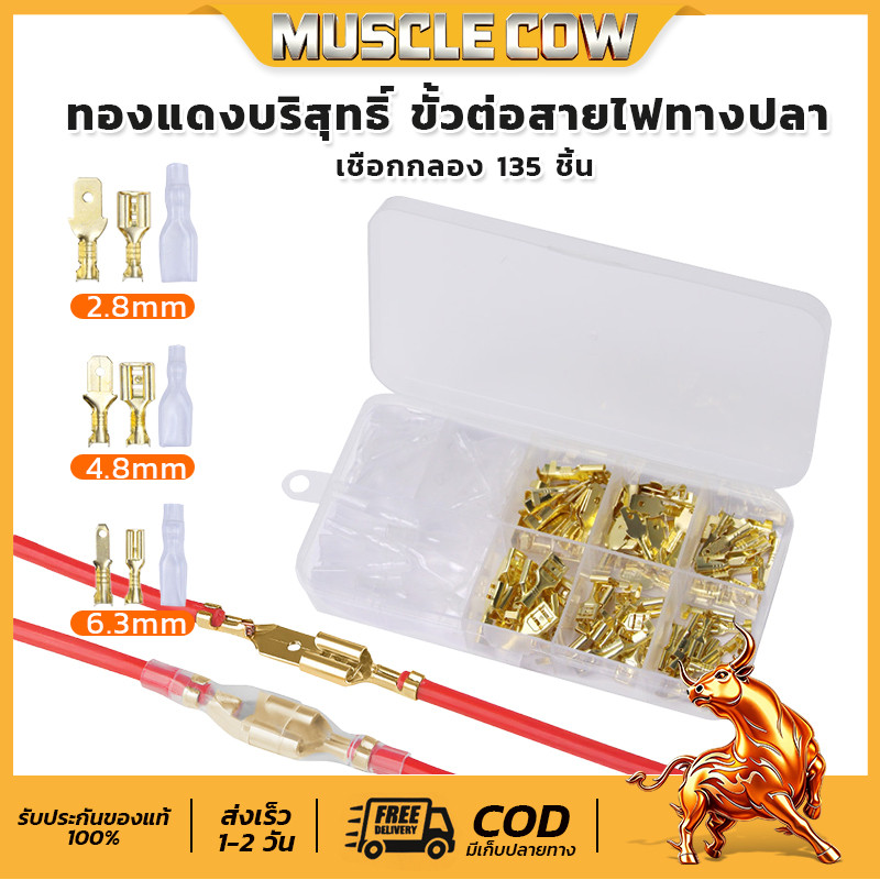 ขั้วต่อสปริงขนาด MUSCLE COW 2.8/4.8/6.3 มม. ขั้วต่อสายไฟแบบถอดได้และเสียบได้ ทำจากทองแดง พร้อมกล่องบรรจ