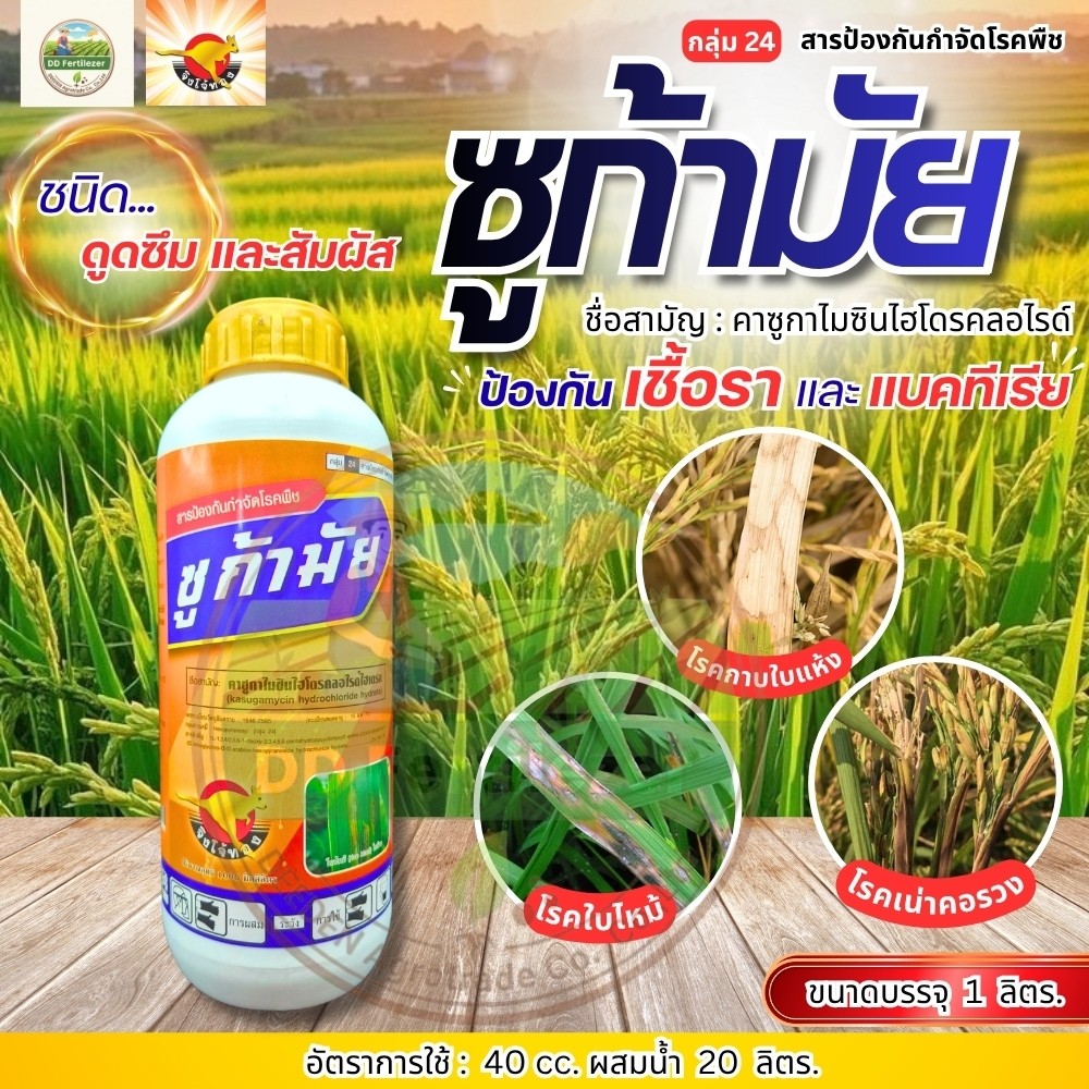 ซูก้ามัย คาซูก้ามัยซิน ขนาด 1ลิตร ป้องกันกำจัดโรคพืชที่เกิดจากเชื้อราและแบคทีเรีย จิงโจ้ทอง