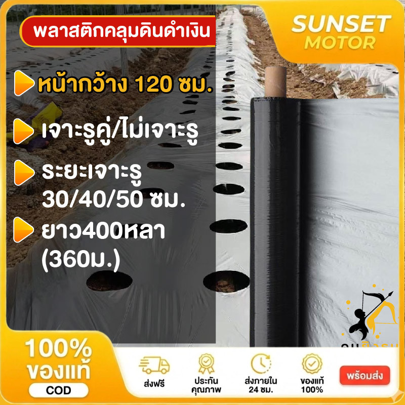 🔥จัดส่งรวดเร็ว🔥พลาสติกคลุมดิน 0.8ม.x400หลา(360ม) เจาะรูเดี่ยว 1แถว ผ้ายางคลุมดิน ผ้ายางคลุมวัชพืช ผ้